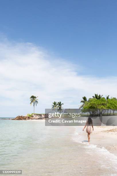 young woman in sundress walking along beach lines with palms - プエルト・バジャルタ ストックフォトと画像