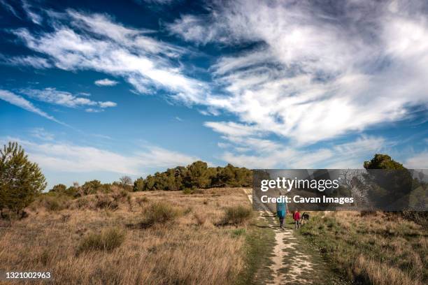 father, daughter and dog walk up hill in south of france in summer - south of france stock-fotos und bilder