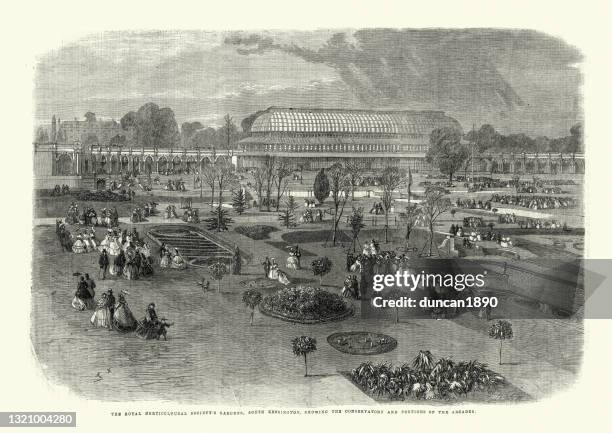 royal horticultural society's gardens, south kensington, 1861, 19th century - royal horticultural society stock illustrations