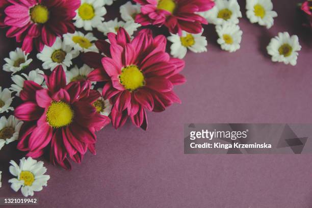 flowers background - mothers day flowers stock pictures, royalty-free photos & images