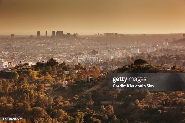 view of downtown los angeles city from griffith observatory - hollywood los angeles 個照片及圖片檔