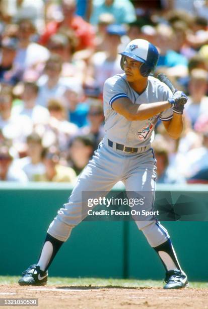 41 Junior Felix” Baseball Stock Photos, HighRes Pictures, and Images