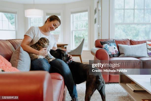 latin woman interacting with her dog and cat at home - dog family stock pictures, royalty-free photos & images