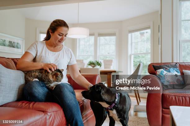 family in the kitchen with their cat and dog - cat family stock pictures, royalty-free photos & images