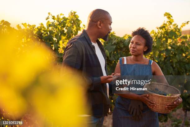 shot of a couple standing together on their vineyard and having a discussion while using a digital tablet - african ethnicity farmer stock pictures, royalty-free photos & images