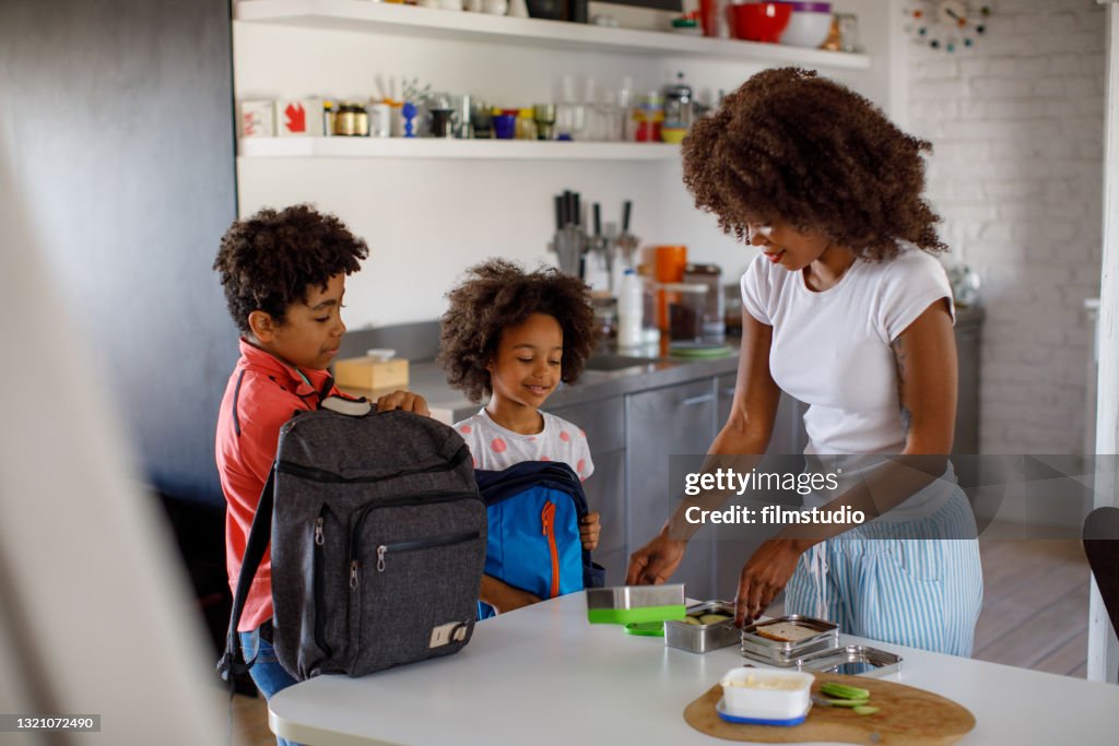 Mother Making School Lunch