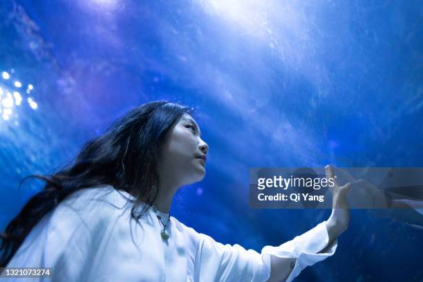 woman looking at fish in the aquarium - desperdício de água imagens e fotografias de stock
