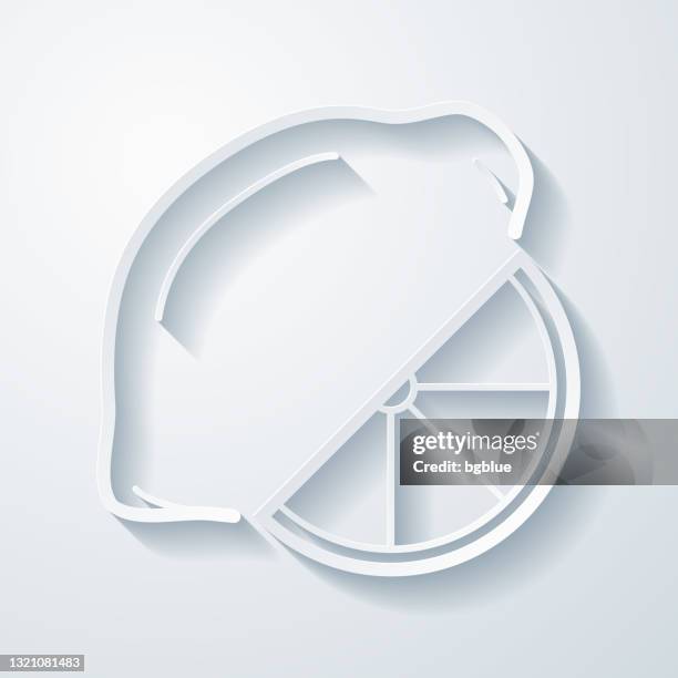lemon and slice. icon with paper cut effect on blank background - lemon slice white background stock illustrations