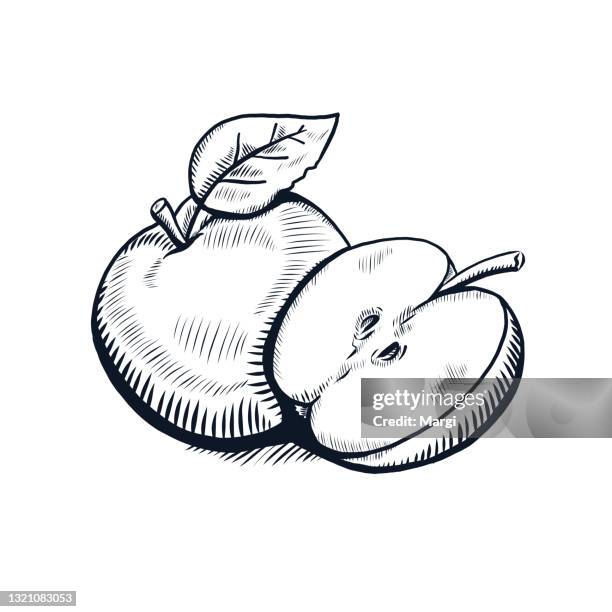 1,157 Black And White Apple High Res Illustrations - Getty Images