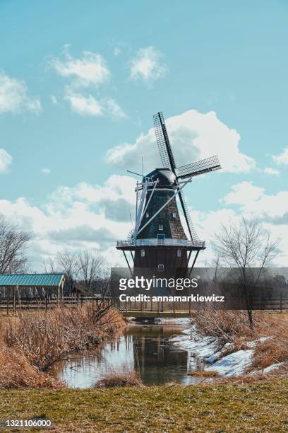 traditional windmill in rural landscape, holland, michigan, usa - holland michigan stock pictures, royalty-free photos & images