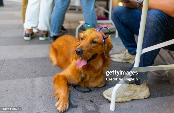 980 Lab Band Stock Photos, High-Res Pictures, and Images - Getty Images