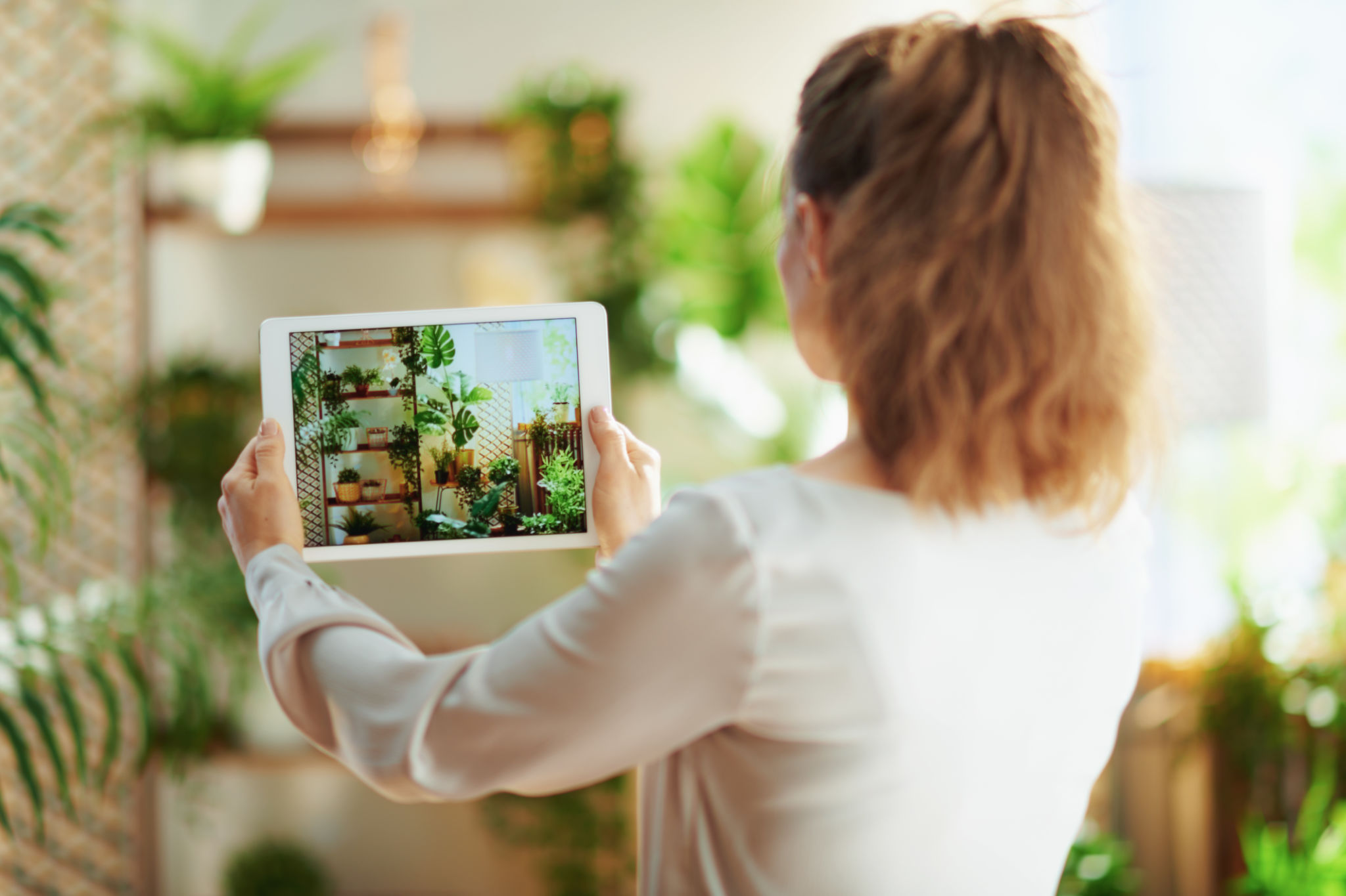 real estate video