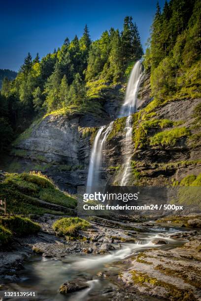scenic view of waterfall in forest,route du lignon,france - cascade france stock pictures, royalty-free photos & images
