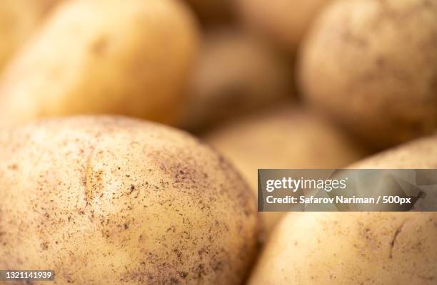 close-up of potatoes - prepared potato bildbanksfoton och bilder