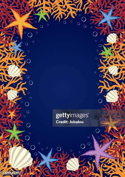 under ocean water life frame with algae, coral, starfish and shells - coral coloured stock illustrations