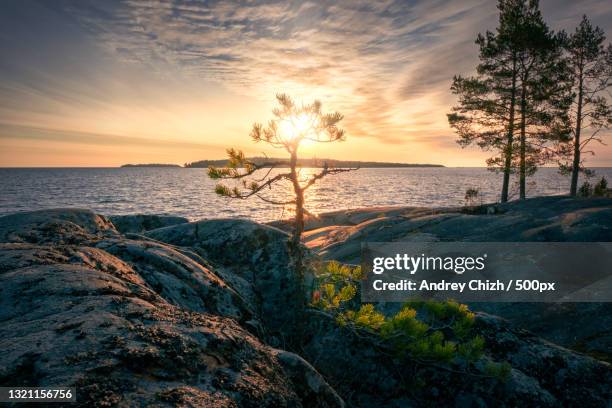 scenic view of sea against sky during sunset,russia - lake ladoga stock pictures, royalty-free photos & images