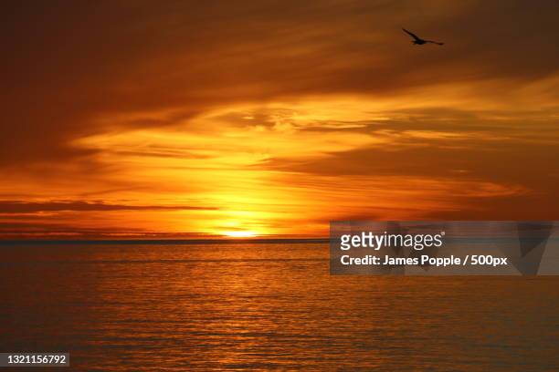 scenic view of sea against sky during sunset - james popple stock pictures, royalty-free photos & images
