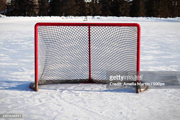 trees on snow covered field - hockey net stock pictures, royalty-free photos & images