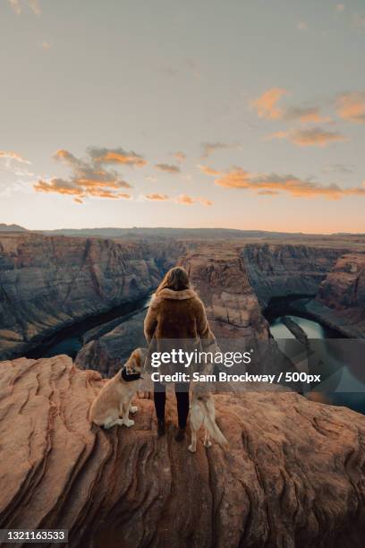 rear view of woman standing on rock against sky during sunset,horseshoe bend,united states,usa - editorial style stock pictures, royalty-free photos & images