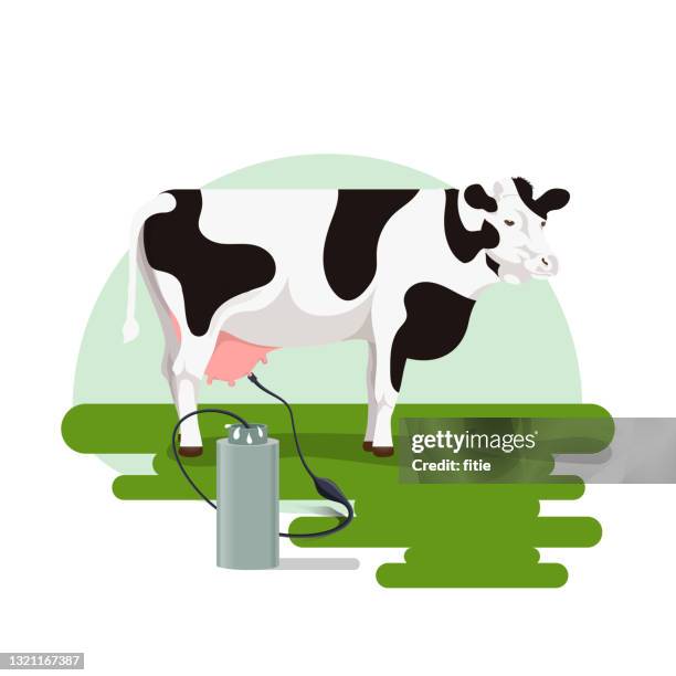 ilustrações de stock, clip art, desenhos animados e ícones de vector illustration of milking a cow on the grass and milk spills out of the jar. - milking