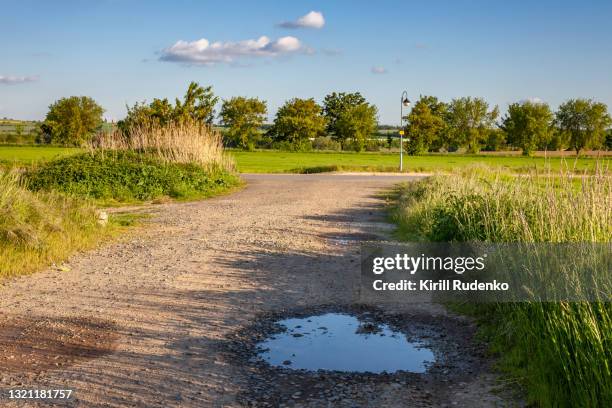 dirt road in springtime - charco fotografías e imágenes de stock
