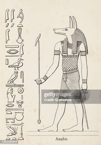 ancient egyptian hieroglyph of anubis goddess of death - anubis egyptian god stock illustrations