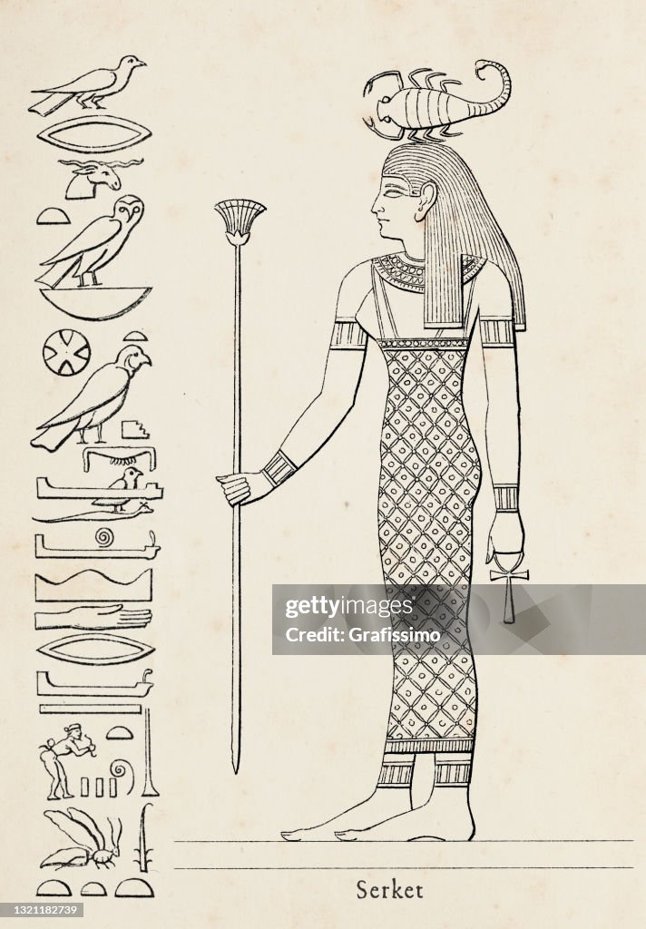 Ancient egyptian hieroglyph of Serket goddess of fertility