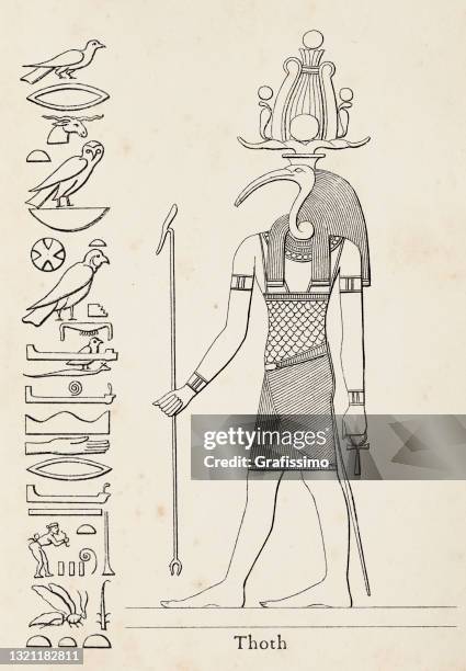 alte ägyptische hieroglyphe der keualität thoth - egyptian thoth stock-grafiken, -clipart, -cartoons und -symbole