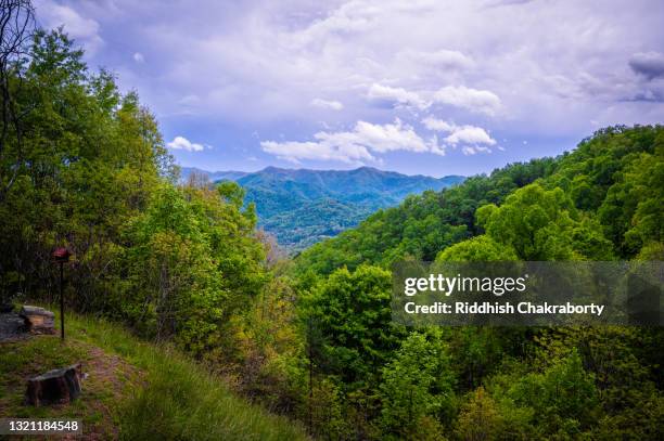 great smokey in summer - bryson city north carolina stock pictures, royalty-free photos & images