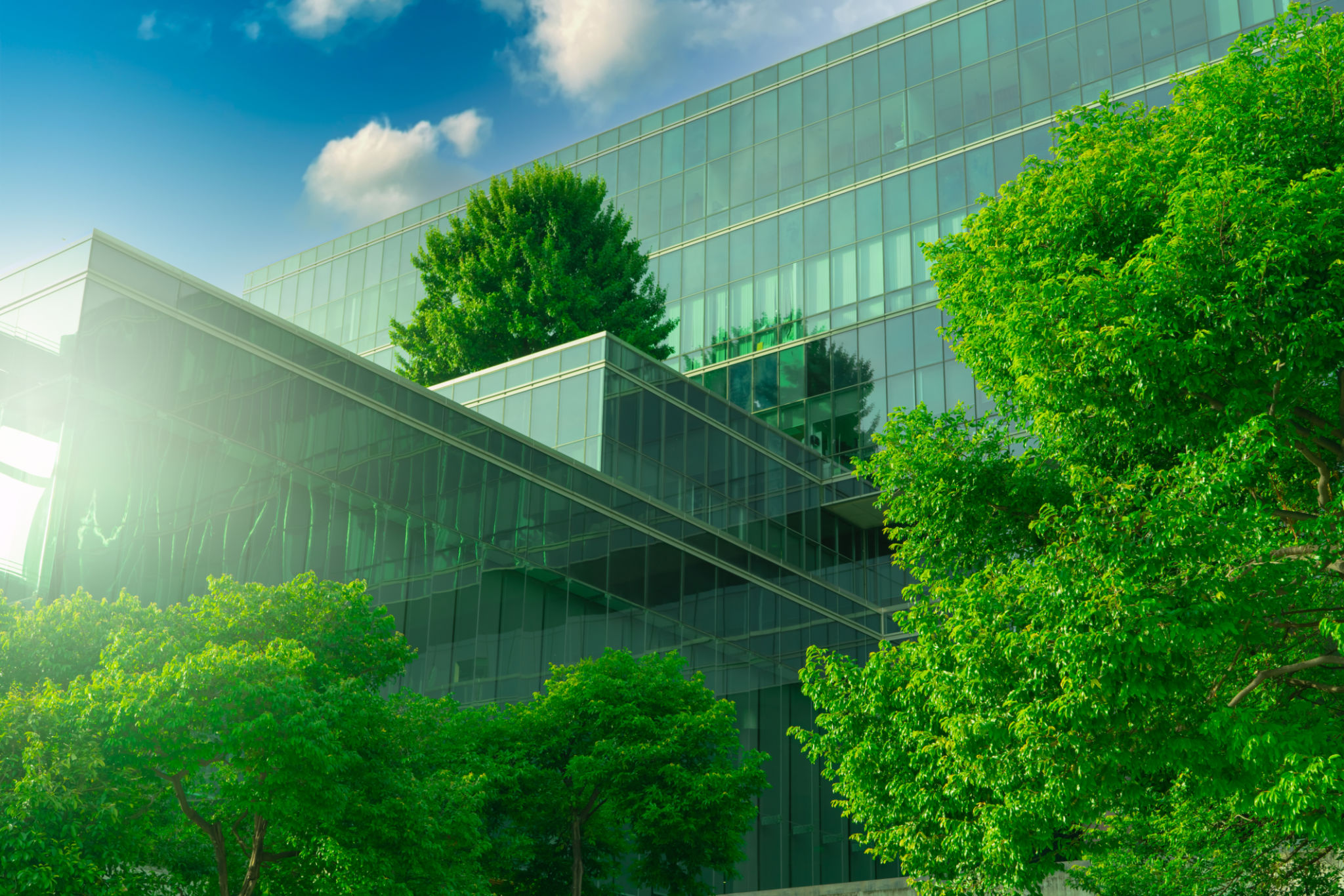 eco friendly hospital
