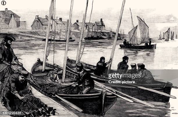 die französische sardine industrie in 1890 -xxxl mit vielen details- - fishing for leave stock-grafiken, -clipart, -cartoons und -symbole