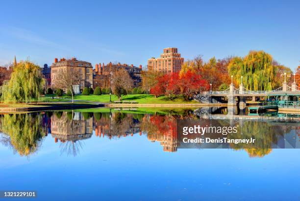 autumn in the boston public garden - boston massachusetts stock pictures, royalty-free photos & images