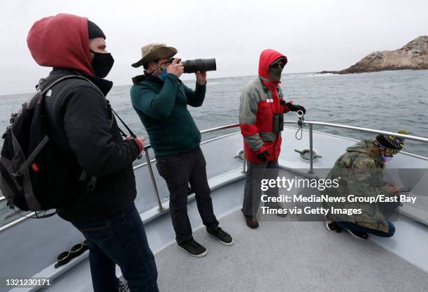 Sean Heiling, of Kansas City, Nick Degner, of San Francisco and National Audubon Society naturalist Roger Harris, from left, view the Farallon...