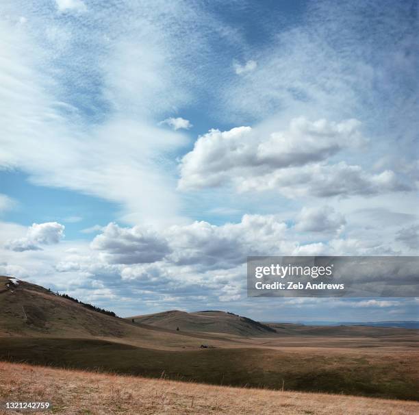 Oregon Prairie 17 Zumwalt Prairie Stock Photos, High-Res Pictures, and Images - Getty ...
