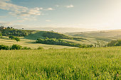 Dawn on the hills of the Val d'Orcia