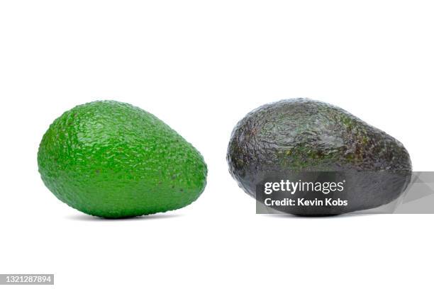 view of two lying avocados. - avocado isolated stock pictures, royalty-free photos & images