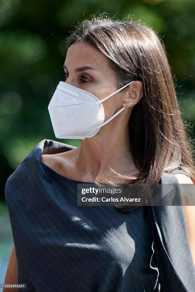 Queen Letizia of Spain Attends A Meeting With FAD Foundation