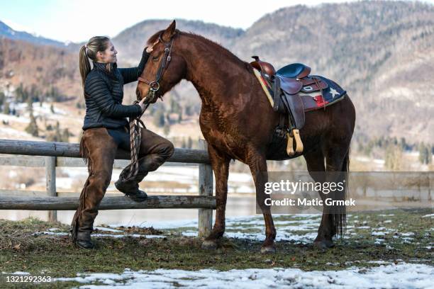 young woman hugging her horse in nature before a ride - stallion stock pictures, royalty-free photos & images