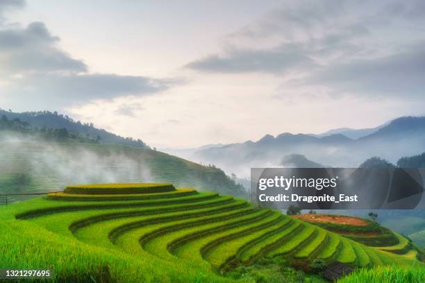 terraços de arroz paddy na área rural de mu cang chai, yen bai, vale das montanhas no vietnã. - rice terrace - fotografias e filmes do acervo