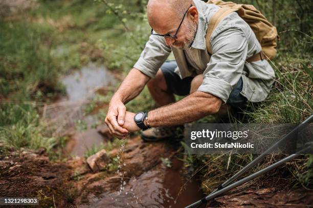 l’eau douce est un déclencheur de la vie - zone humide photos et images de collection