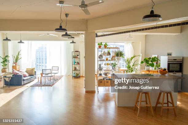 loft industrial style. wide only one open space shot. 2 big windows. open-plan kitchen nordic scandinavian style - cozy kitchen stockfoto's en -beelden