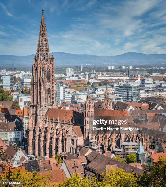 freiburg´s cathedral - fribourg en brisgau photos et images de collection