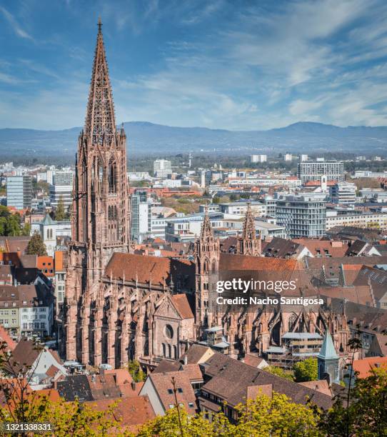 freiburg´s cathedral - freiburg im breisgau stock pictures, royalty-free photos & images