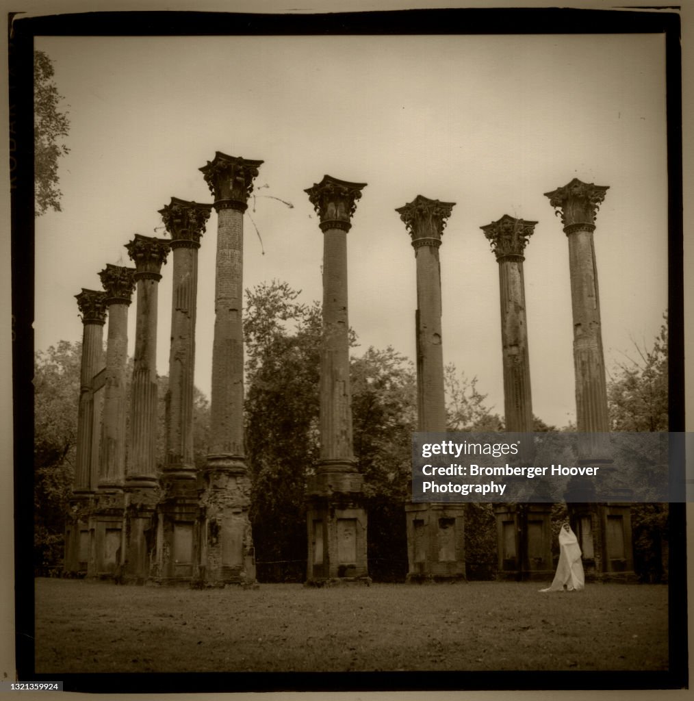 Columns At The Windsor Ruins
