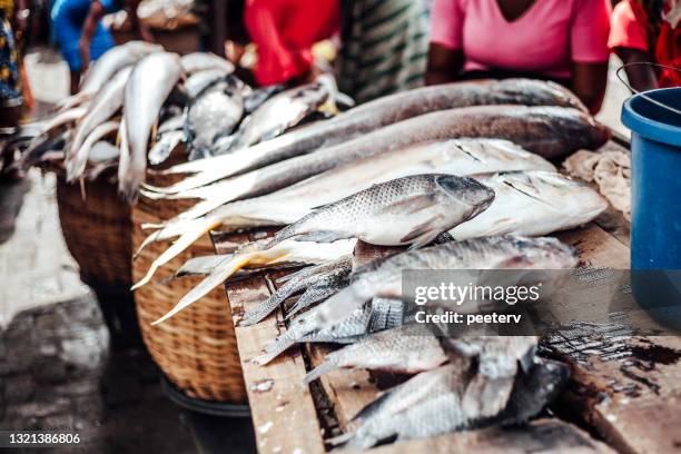african seafood at market - lagos, nigeria - catch of fish stock pictures, royalty-free photos & images