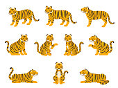 Illustration set of tigers in various poses