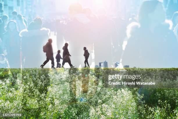 a family walking along a bank full of spring flowers multi layered image - biodiversität stock-fotos und bilder