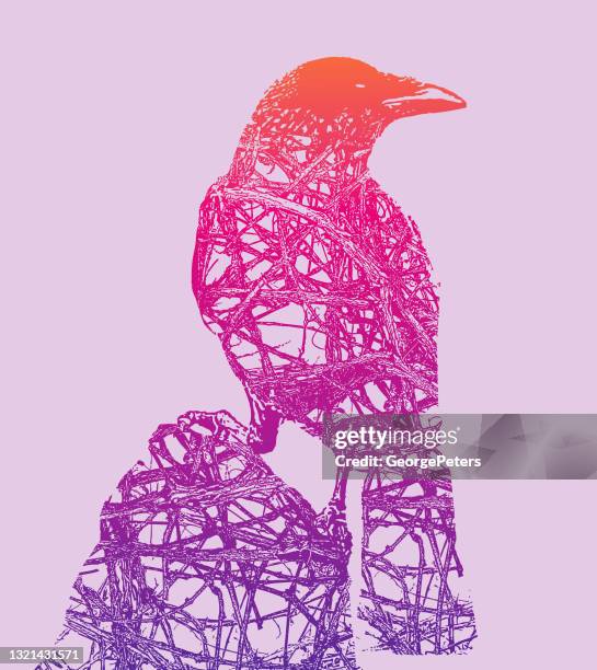 gothic raven - lavender sprig stock illustrations