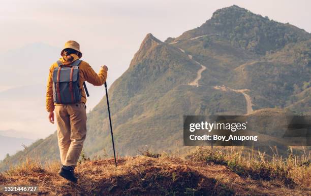 tourist woman standing on mountain edge with beautiful mountain peak in front of her. - large rucksack stock pictures, royalty-free photos & images