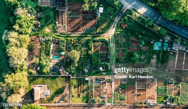 an aerial view of an english community garden - stock photo - foods birds eye stock pictures, royalty-free photos & images